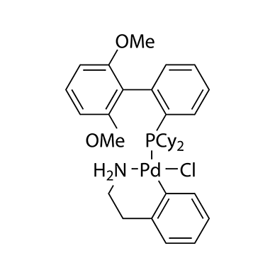 (2-二环己基膦- 2',6'-二甲氧基-1',1-联苯基)[2-(2-氨基乙基苯基)]氯化钯(II)甲基叔丁