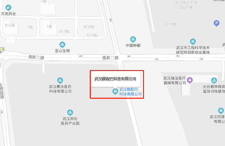 三头五尾在今朝猜生肖